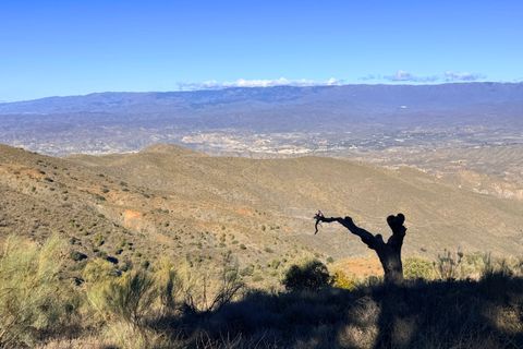 Finca i Tabernas, Almeria, Tabernas - € 2.345.000 | Ref: GVCFSA - foto 36